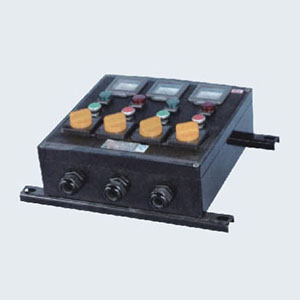 ZXF8044系列防爆防腐控制箱(IIC、Ex Td)