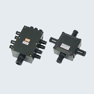 BJX8030系列防爆防腐接線箱€